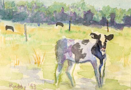 Watercolor: Calf in a Pasture