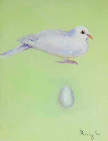 Dove Oil on Canvas