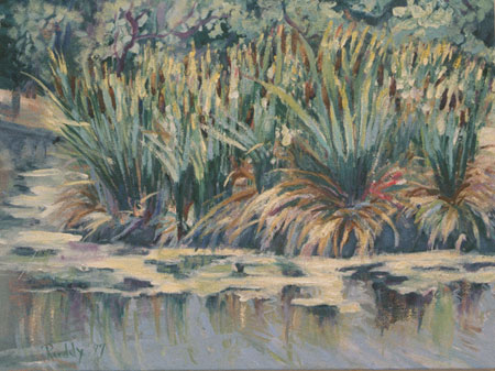 Cattails Oil on Canvas