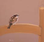 Sparrows #5